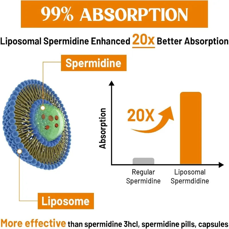30mg liposome spermidine supplement, high absorption, fermented wheat germ extract, cell renewal, anti-aging support, 60capsules