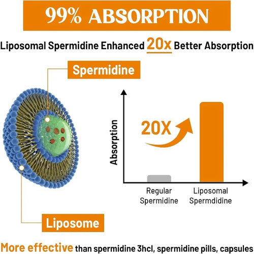 30mg liposome spermidine supplement, high absorption, fermented wheat germ extract, cell renewal, anti-aging support, 60capsules